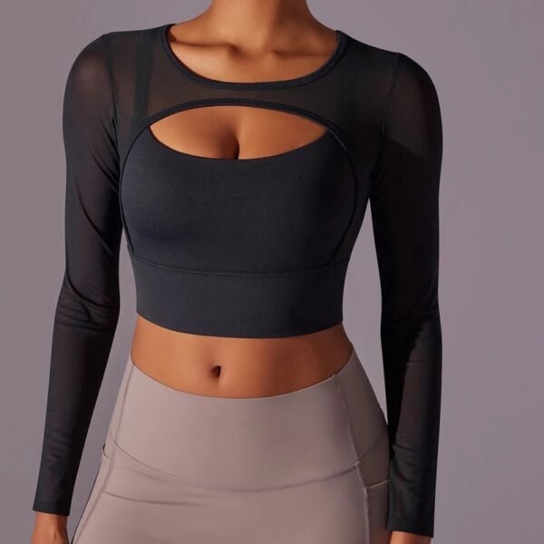 W4047 Crop Top