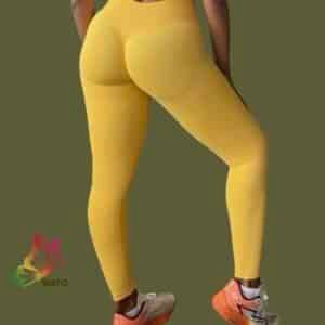 Shanaya Leggings