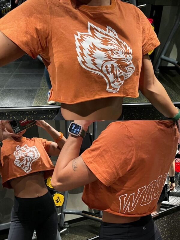 Ashlyn Crop Tee - Image 6